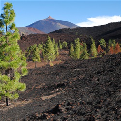 Ontdek de adembenemende wandelroutes van Tenerife: van vulkanen tot groene bergen