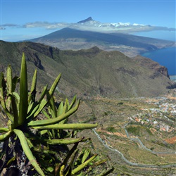 Ontdek de fascinerende geschiedenis van de Guanche op Tenerife