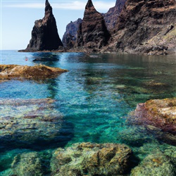 Ontdek de Top Snorkelplekken op Tenerife!