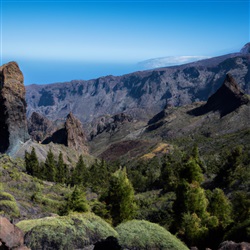 Tenerife: De Ultieme Bestemming voor Avonturiers