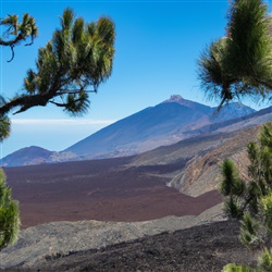 Tenerife: Ontdek het artistieke hart van de Canarische Eilanden!