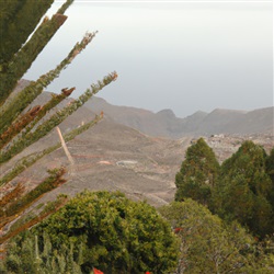 Tenerife: Ontdek het eiland van de eindeloze mogelijkheden